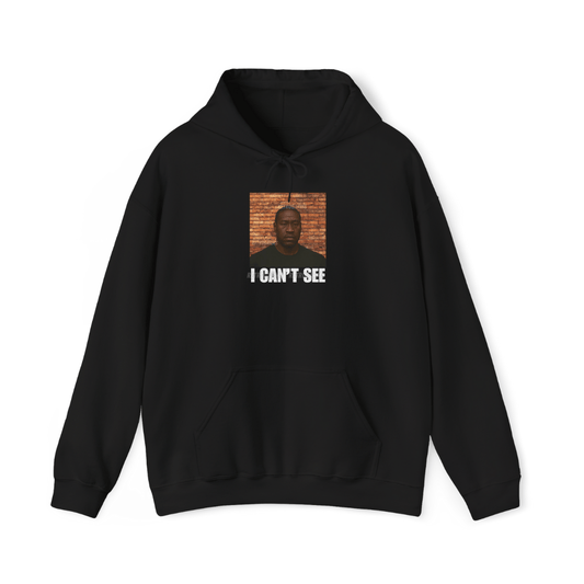 I Can't See Hoodie